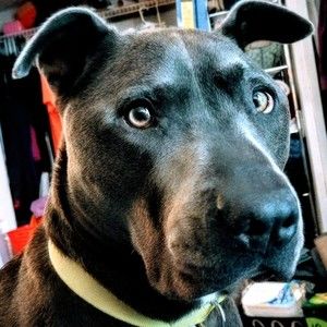 Meet your Posher, Peggy leigh